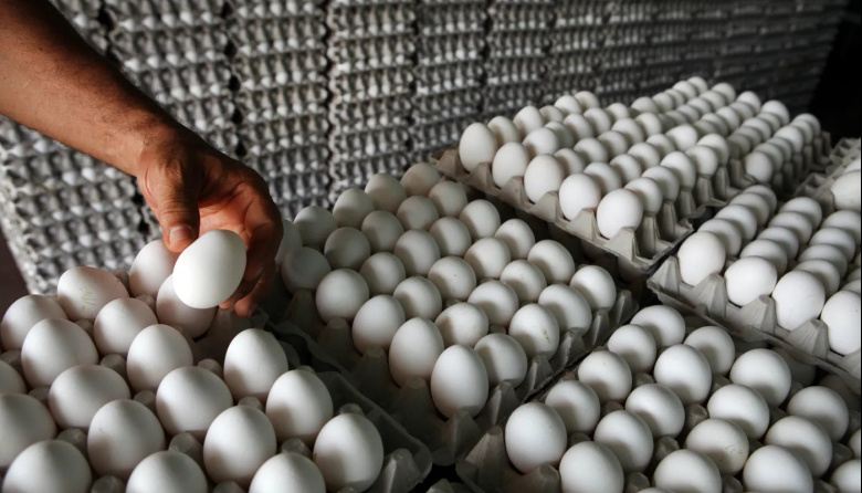 La Plata: el robo millonario que reveló un escondite de 150 mil dólares