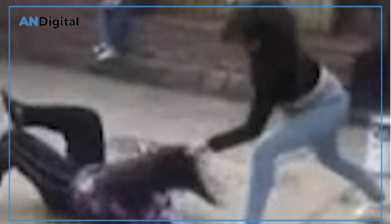 Salvaje golpiza a una alumna con discapacidad en el patio de la escuela