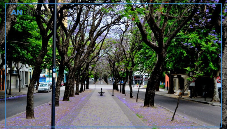 Acuerdo clave para la gestión estratégica del arbolado y el cinturón hortícola de La Plata