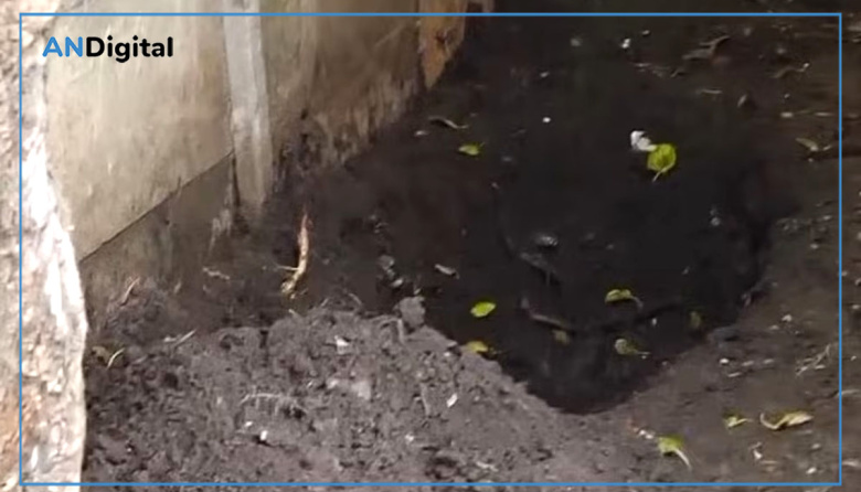 Horror en Solano: un nene encontró el cuerpo de su madre enterrado y ahora buscan a la pareja