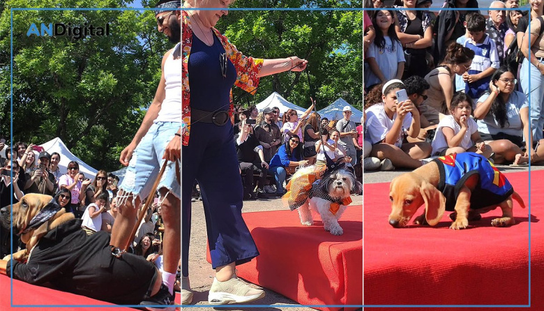 Gran desfile de mascotas en La Plata: Cuándo es, dónde y qué se podrá hacer