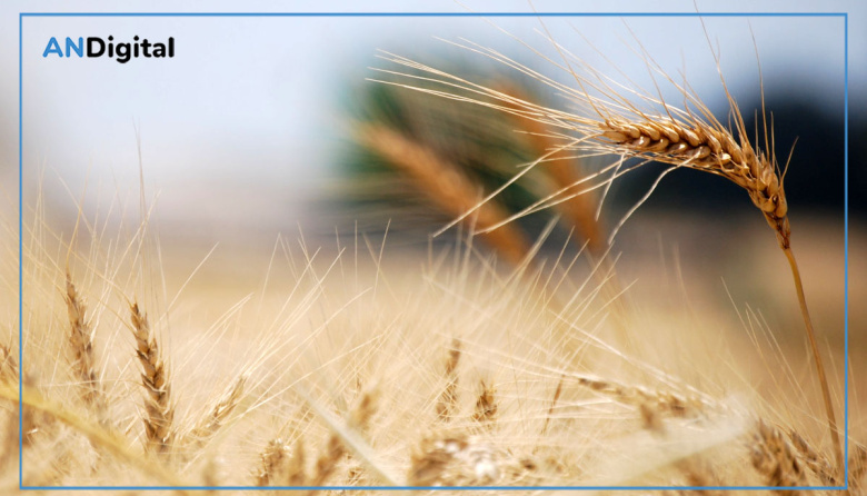 La Bolsa de Bahía Blanca desembarca en el sudoeste con gira clave para productores
