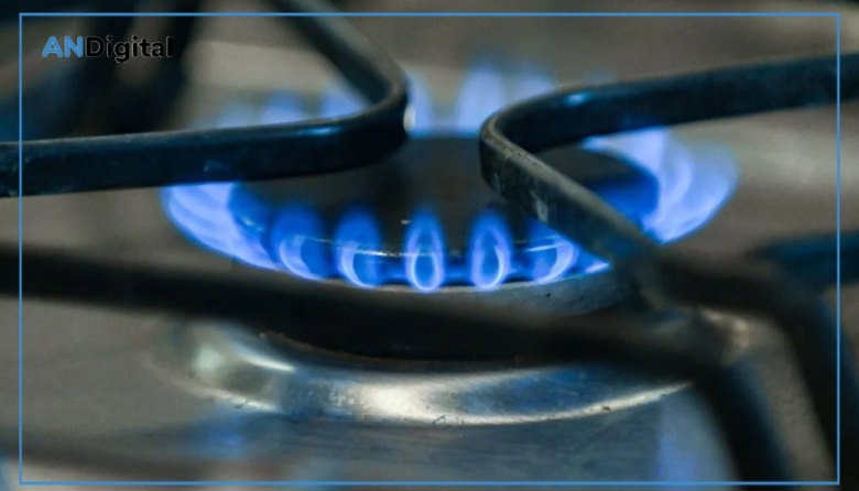 El Gobierno envió al Congreso un proyecto para recortar la Zona Fría y subir las facturas de gas