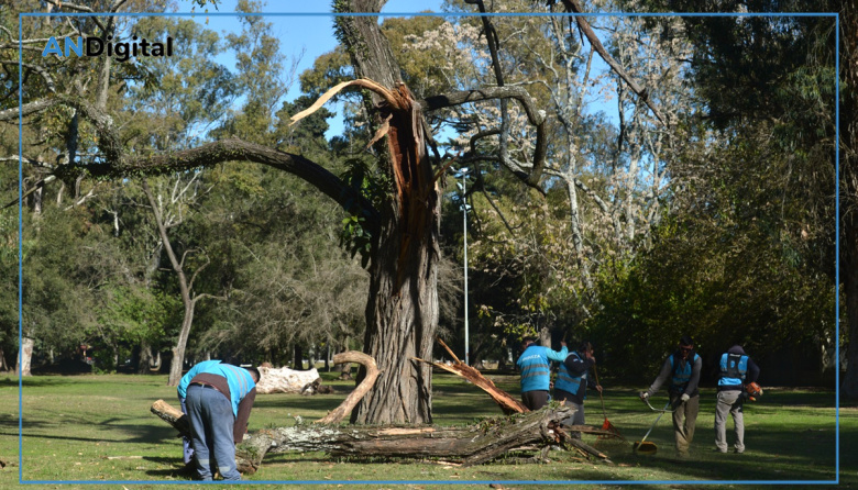 Tareas de preservación y puesta en valor en el Paseo del Bosque de La Plata