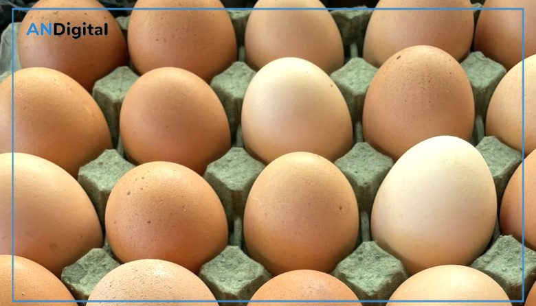 Argentina lidera el consumo mundial de huevos mientras crece el debate sobre el etiquetado