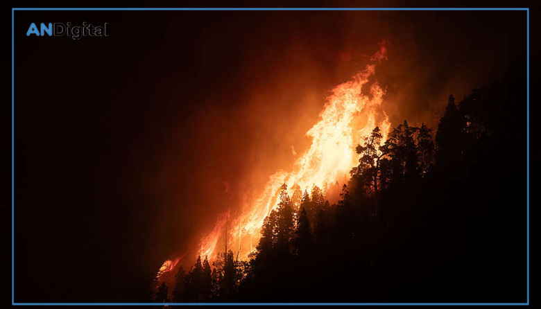 Se multiplicaron por diez los bosques patagónicos arrasados por el fuego