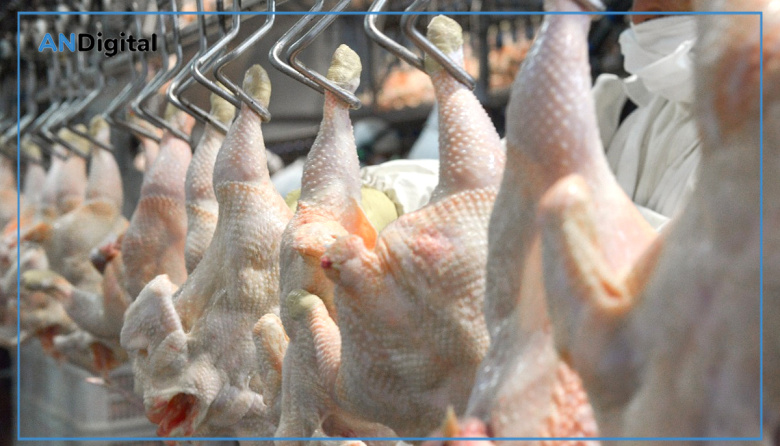Argentina vuelve a exportar carne aviar a Chile y Perú