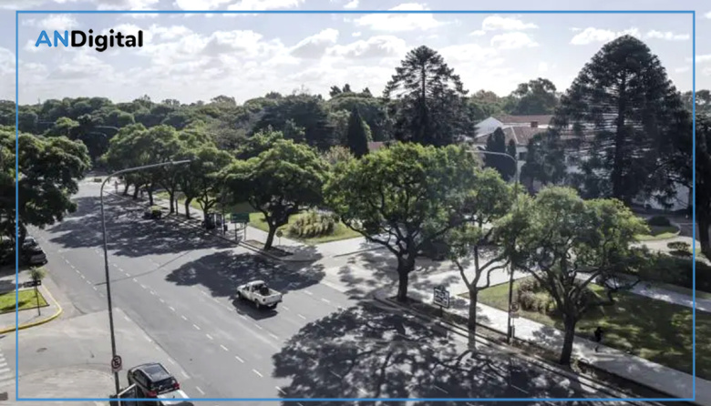 Barrio Parque, el José Ignacio de Buenos Aires: las reglas del ultra lujo