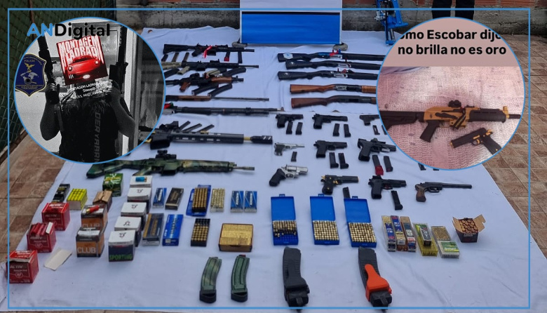 Impactante arsenal de un adolescente en La Plata: Tenía 25 armas y 6.700 municiones