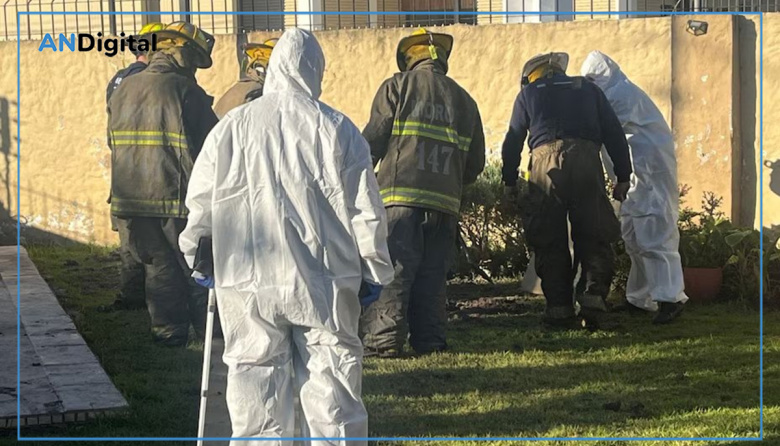 Horror en Castelar: asesinó a su madre y enterró el cuerpo en el fondo de la casa