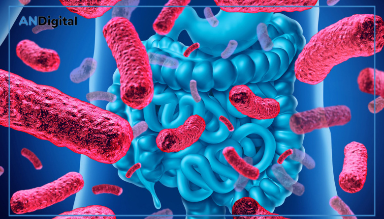 Microbiota, el órgano invisible: ¿Por qué es clave para la salud?