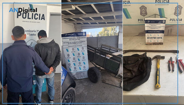 Robaron en una casa de La Plata y fueron atrapados mientras escapaban en un carro tirado por un caballo