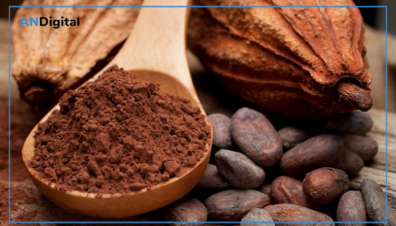 Día Mundial del Cacao: mitos y verdades sobre el chocolate