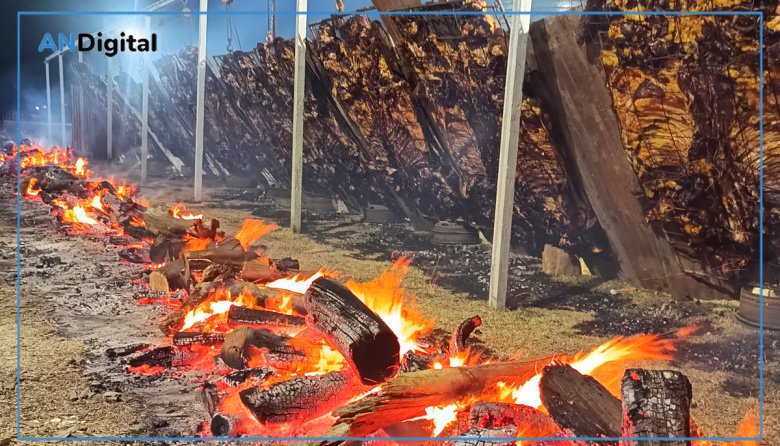 Asado gratis y fiesta con Amar Azul en el 157° aniversario de General Alvear