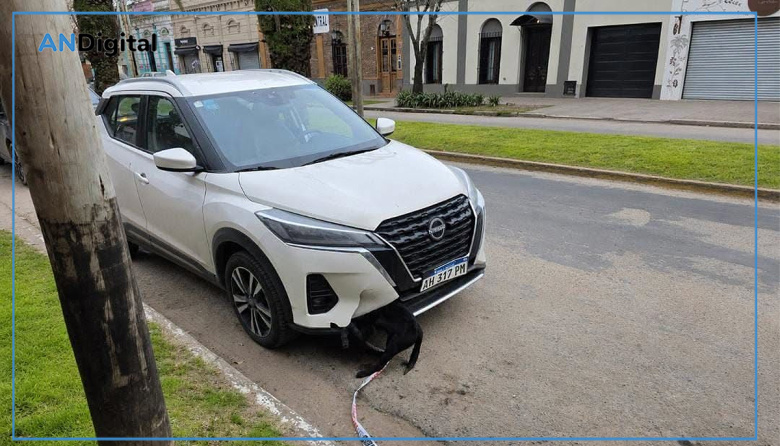 San Vicente: Automovilista recorrió varios kilómetros con un perro enganchado al paragolpes