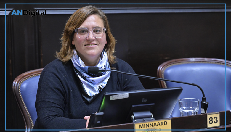 Pruebas PISA: “Fingimos una realidad que no existe”, la dura crítica de la diputada Minnaard