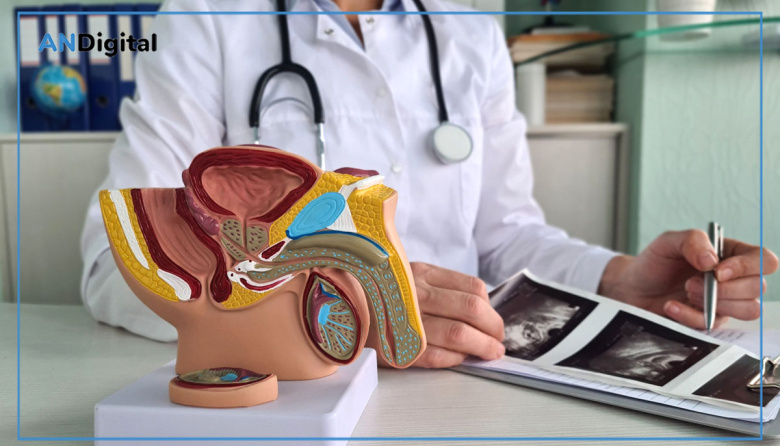 Salud prostática: los hábitos que ayudan y las alarmas para no postergar