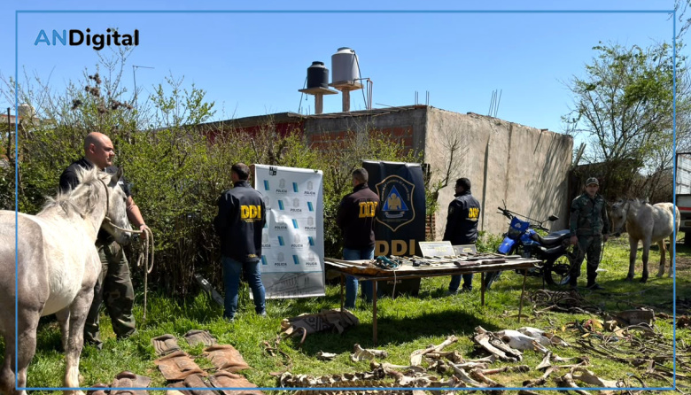 Robaron cuatro caballos de polo en Pilar, los faenaron y vendían la carne en un barrio de Moreno