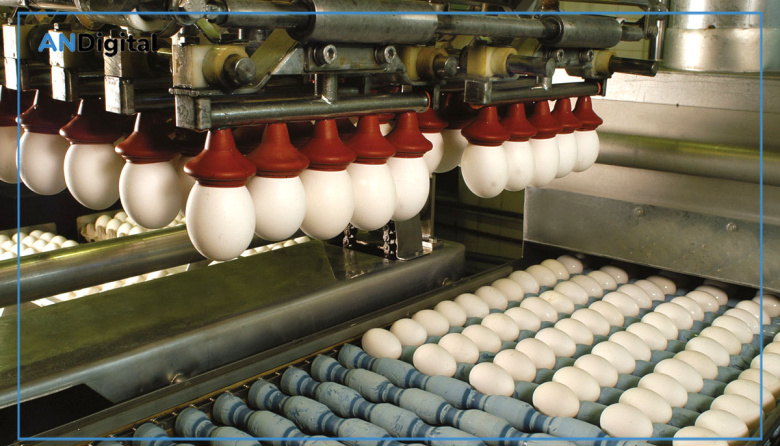 Las exportaciones de ovoproductos alcanzaron el mayor valor de la década