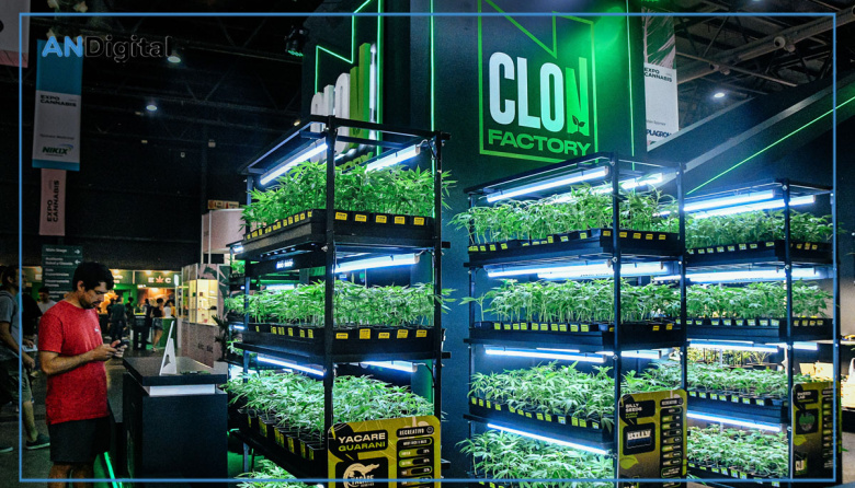 Cuenta regresiva para Expo Cannabis Argentina 2026
