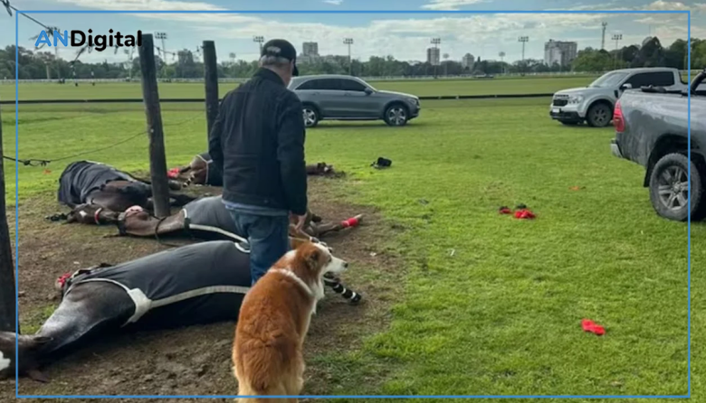 Cayó un rayo en el Jockey Club de San Isidro y mató a 4 yeguas de polo