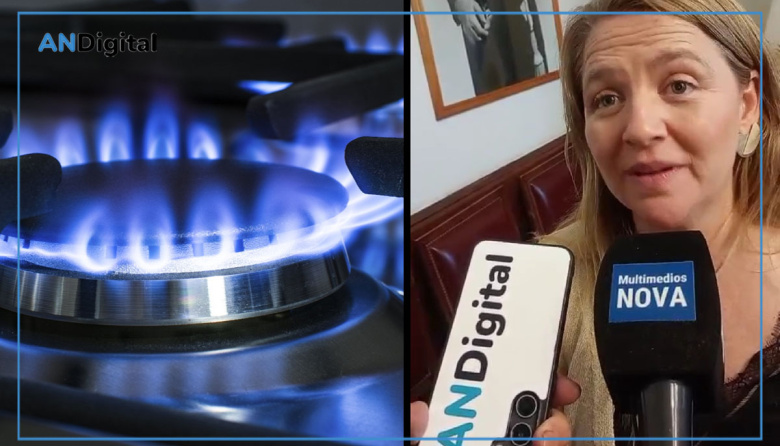 “Tarifas dolarizadas”: senadora patagónica alertó por el impacto del modelo libertario