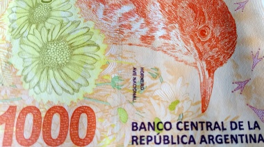 Melconian sugirió frenar la inercia del “Plan Platita”