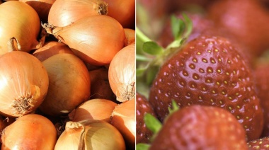 Del productor a la góndola: los precios de los agroalimentos se multiplicaron por 3,4 veces en noviembre