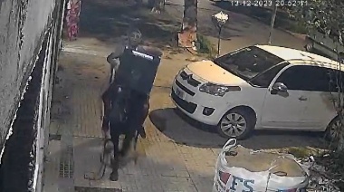 Robó un amplificador y se lo llevó montado en un caballo por las calles de La Plata