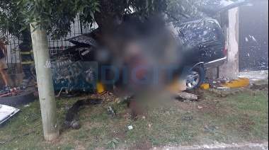 Roban una camioneta y en la huida chocan con un árbol: Dos delincuentes muertos en Bernal