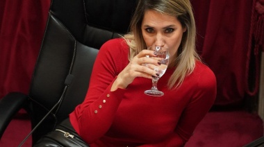 “Todos queremos que el Gobierno sea un éxito, pero no a costa de las provincias”
