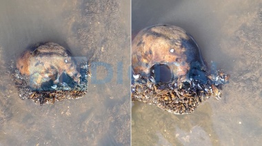 Misterioso hallazgo en Punta Lara: Apareció un cráneo humano