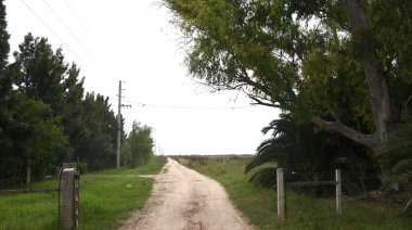 Proyectan políticas integrales para el cordón flori-frutihortícola platense
