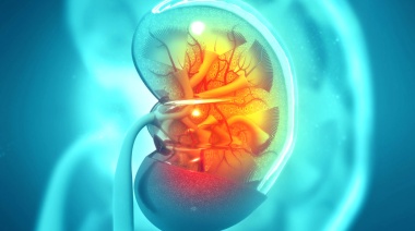 Enfermedad de Fabry: fabricarán en Argentina versión “low cost” de un medicamento muy caro