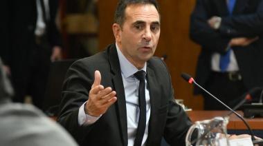 Hombre de Techint desembarca en el Gobierno: “No es gorila, es una manada de gorilas”