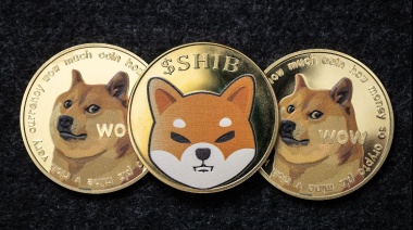 Milei Moneda, popular entre inversores de Dogecoin y Shiba Inu: Se esperan beneficios de preventa
