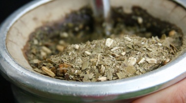 Las ventas de yerba mate continúan con indicadores positivos