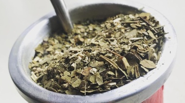 Validado por la ciencia: el mate es un aliado contra el Parkinson