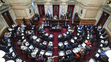 Desde la izquierda condenan la “paritaria de privilegio” en el Senado