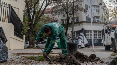Arrancó la plantación anual de árboles en la Ciudad de Buenos Aires