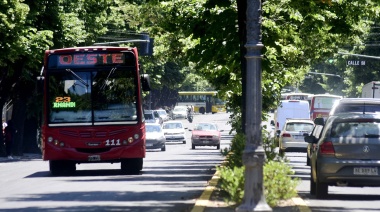 La Plata: inhabilitan temporalmente las paradas de colectivo sobre Plaza San Martín