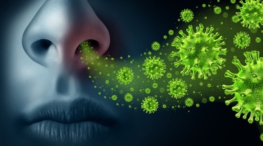 El primer contacto con el virus de la gripe define la respuesta futura del sistema inmunológico
