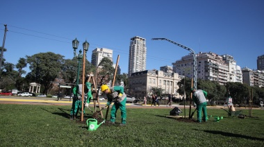 Avanza el plan forestal porteño: se planta un 50 % más de árboles que el año pasado