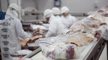 Ya se distribuyó el cupo de Cuota Hilton para el ciclo 2024/2025