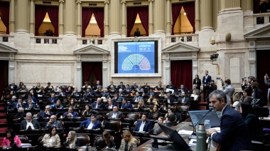 “En el Senado canjearon votos por embajadas, en Diputados van a violar la Constitución”