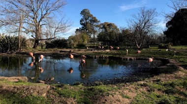 “Olavarría en Vacaciones”: La agenda de propuestas para el receso invernal