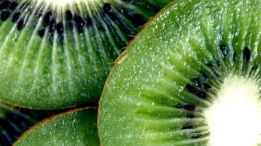 Construirán biofábrica en la Chacra Experimental de Miramar