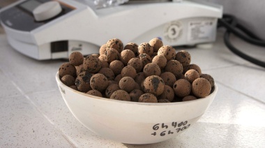 Liviano y aislante: arcilla-aserrín, fórmula exitosa para nuevos materiales sustentables