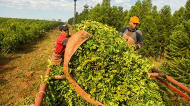 El salario mínimo del peón rural llega a los $ 618.000