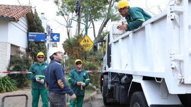 “Deuda histórica”: comenzó el primer Plan Integral de Arbolado de San Isidro